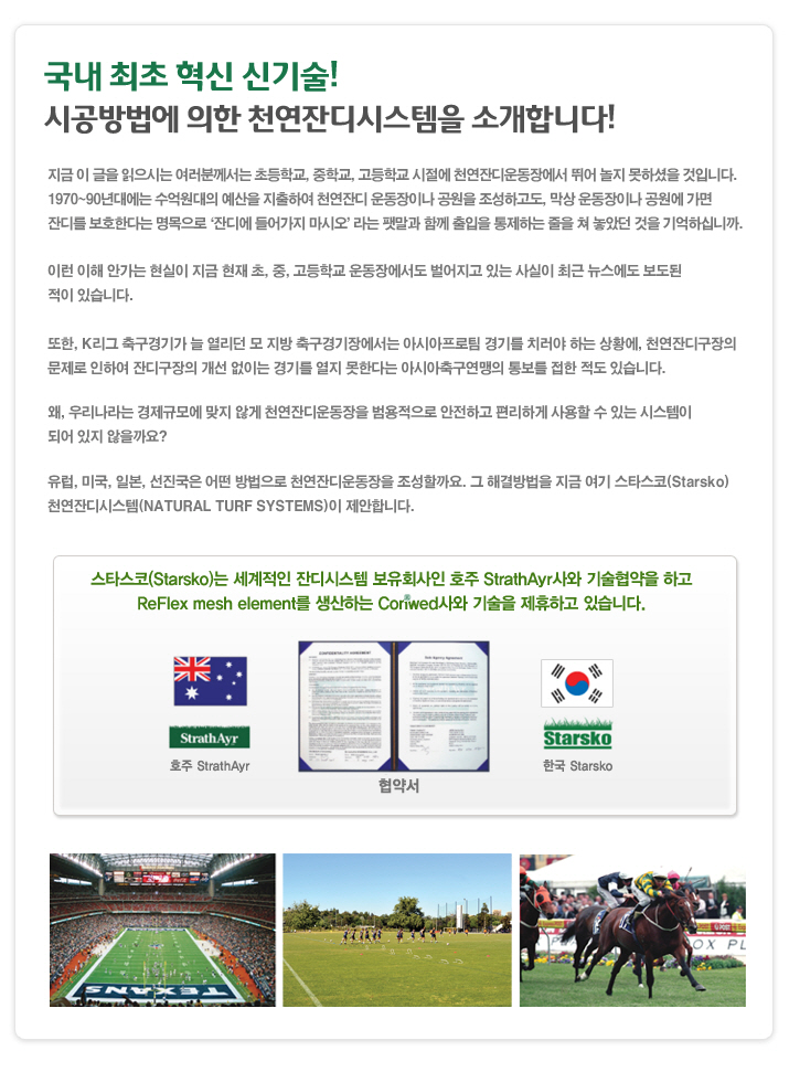 내용